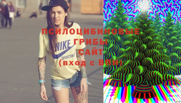 амф Алексеевка